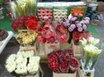 Schnittblumen