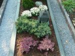 Friedhofspflanzen